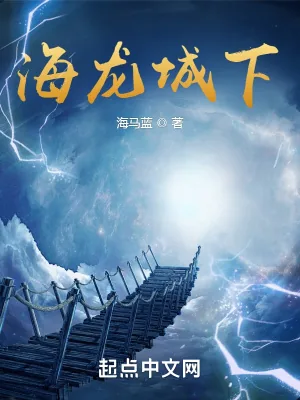 《海龙城下》小说封面