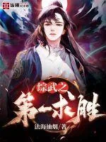 《综武之第一求胜》小说封面