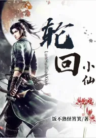 《轮回小仙》小说封面