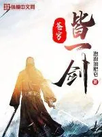 《苍穹皆一剑》小说封面