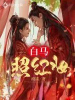 《白马照红妆》小说封面