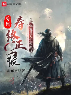 《苟到寿终正寝，你说是人生模拟？》小说封面