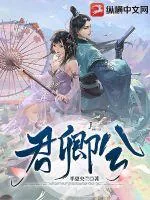 《君卿兮》小说封面