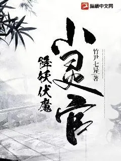 《降妖伏魔小灵官》小说封面