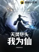 《天灵尽头我为仙》小说封面