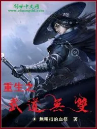 《重生之武道无双》小说封面