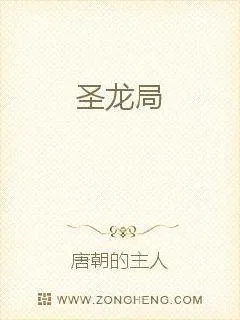《圣龙局》小说封面