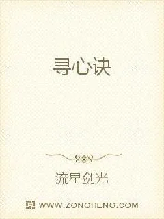《寻心诀》小说封面