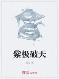 《紫极破天》小说封面