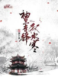 《袖里青锋秋水寒》小说封面