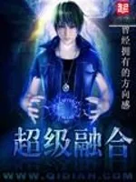 《超级融合》小说封面
