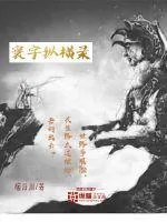 《寰宇纵横录》小说封面