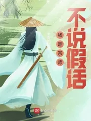 《我是宗师不说假话》小说封面
