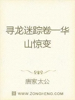 《寻龙迷踪卷一华山惊变》小说封面