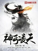 《神丐凌天》小说封面