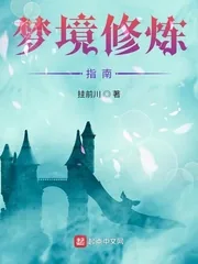 《从少林开始的梦境之旅》小说封面