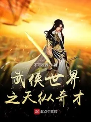 《武侠世界之天纵奇才》小说封面