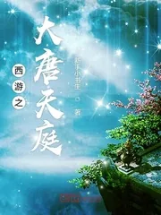 《西游之大唐天庭》小说封面
