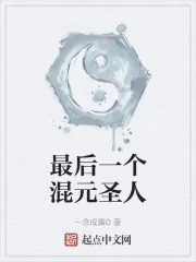 《最后一个混元圣人》小说封面