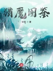 《猎魔图鉴》小说封面
