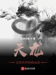 《天龙：武侠世界的修仙者》小说封面