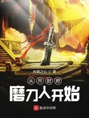 《从开封府磨刀人开始》小说封面