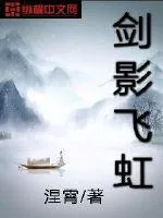 《剑影飞虹》小说封面