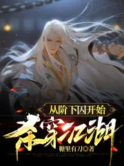 《从阶下囚开始杀穿江湖》小说封面