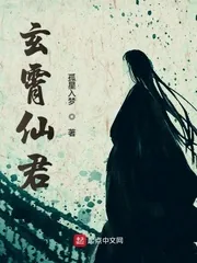 《玄霄仙君》小说封面
