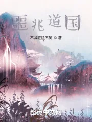 《噩兆道国》小说封面