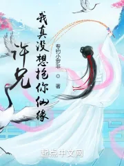 《许兄，我真没想抢你仙缘！》小说封面