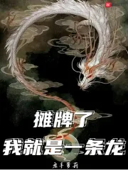 《摊牌了，我就是一条龙》小说封面