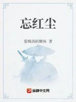 《忘红尘》小说封面