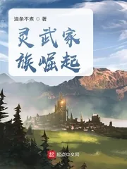 《灵武家族崛起》小说封面