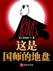 《这是国师的地盘》小说封面