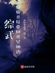 《综武：猫猫开局带回北冥神功》小说封面