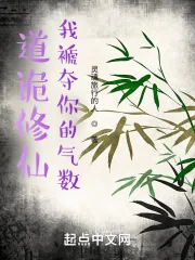 《道诡修仙：我褫夺你的气数》小说封面