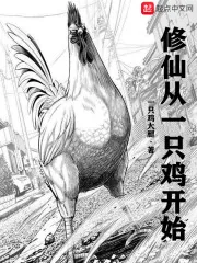 《修仙从一只鸡开始》小说封面