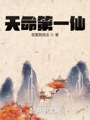 《天命第一仙》小说封面
