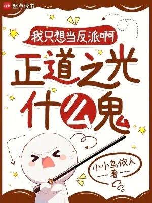 《我只想当反派啊,正道之光什么鬼》小说封面