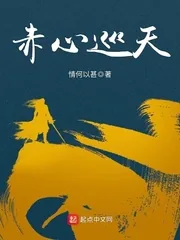 《赤心巡天》小说封面