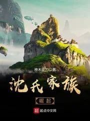 《沈氏家族崛起》小说封面