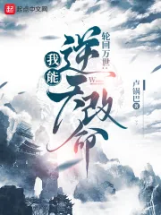 《轮回模拟:我能逆天改命》小说封面