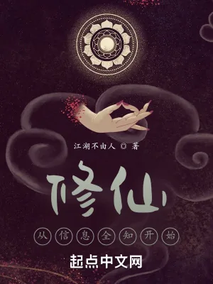 《我的信息修仙人生》小说封面