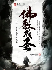 《红云:立大乘佛教成圣》小说封面