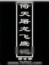 《倚天屠龙飞鹰记》小说封面