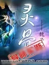 《灵骨》小说封面