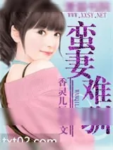 《蛮妻难驯》小说封面