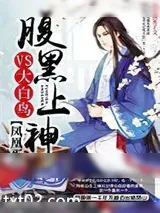 《凤凰蛋：腹黑上神VS大白鸟》小说封面