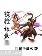 《铁枪杨铁芯》小说封面